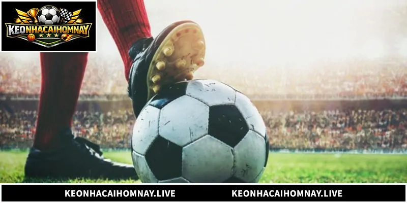 Bong88 - Nhà Cái Cá Cược Bóng Đá Uy Tín Hàng Đầu Khám phá tất tần tật về nền tảng Bong88