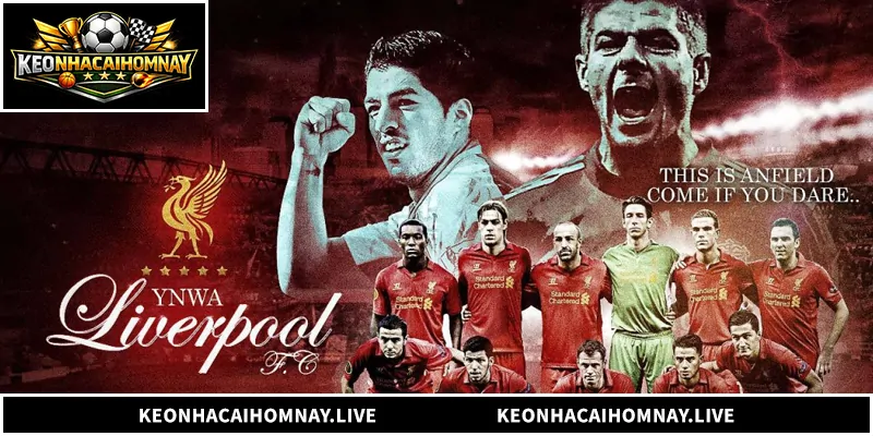 Nhận Định Liver - Phân Tích Toàn Diện The Kop Nhận Định Liver - Phân Tích Toàn Diện The Kop