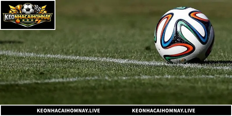 Tìm hiểu chi tiết nhà cái 1gom