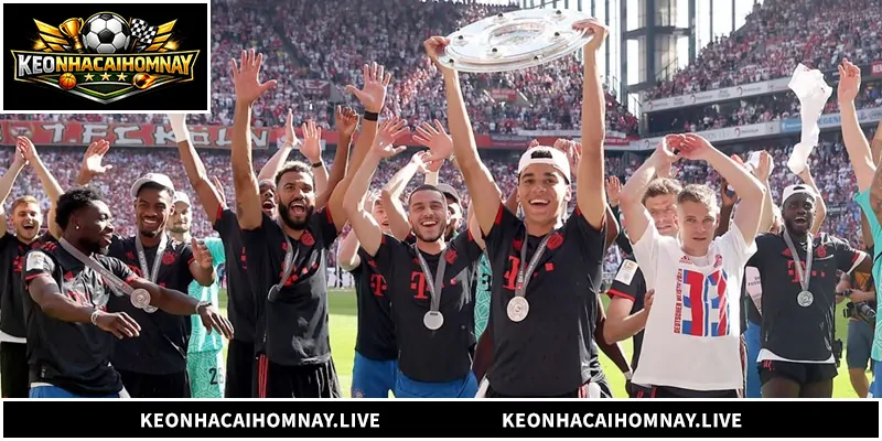 Nhận Định Bayern - Phân Tích Hùng Xám Nước Đức Tổng quan về nhận định Bayern